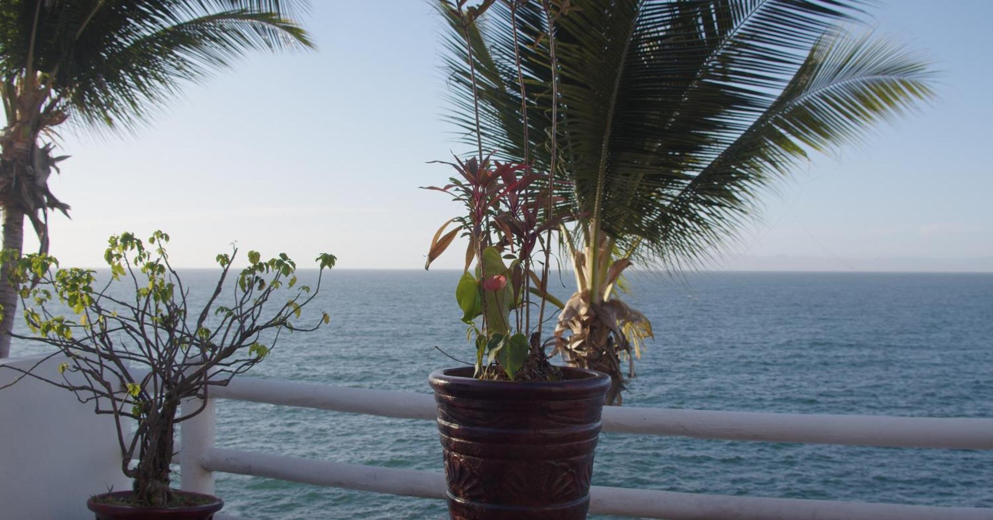 Traditional Sierra Leon Oceanfront Rooms - Adults Only Puerto Vallarta Eksteriør bilde